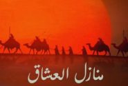 منزل عشاق از کربلا تا شام بلا